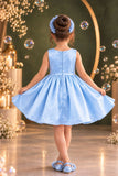 Powder Blue Floral Party Wear Frock For Baby Girls