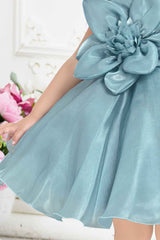 Blue Organza Frock With Floral Embellished For Girls