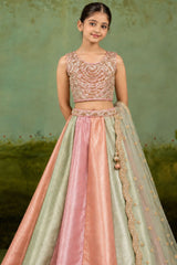 Girls Blush Pink And Mint Green Sequin Embellished Lehenga Choli Set
