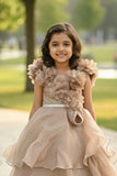 Fawn Ruffle Layered Party Gown For Girls