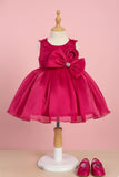 Rani Pink Party Frock with Statement Bow and 3D Floral Appliqué For Girls