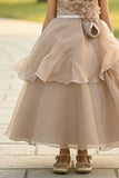 Fawn Ruffle Layered Party Gown For Girls
