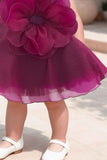 Wine Bloom Dress with Giant Flower Appliqué And Bow Detail For Girls
