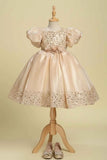 Golden Sequin Party Wear Frock with Puffy Sleeves and Floral Waist Detail For Girls