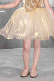 Golden Shimmer Party Frock with Sequin Bow and 3D Flower Detail For Girls