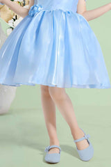 Blue Sleeveless Sequins Work And Floral Embellished Frock For Girls