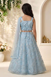 Sky Blue Sequin Embroidered Lehenga Choli with Dupatta