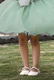 Girls Mint Green Floral Applique Party Dress