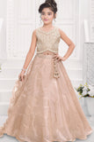Fawn Embroidered Lehenga Choli Set with Dupatta For Girls
