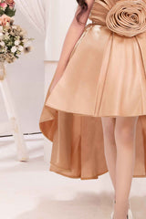 Gold Embellished With Floral Tail Back Frock For Girls