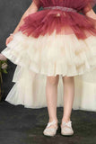 Maroon and Ivory Layered Tailback Party Dress For Girls