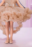 Fawn Sequin Bodice Party Wear Frock with Ruffle Hem & Bow Accent For Girls