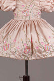 Fawn Frock With Sequin And Embroidered For Girls
