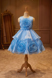 Sky Blue Embellished Party Wear Frock with 3D Rose Appliqué For Girls