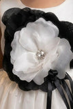 Girls White  Party Frock With Black Floral Applique
