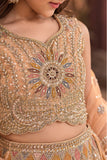 Peach Peacock And Floral Embroidered Lehenga Choli with Dupatta For Girls