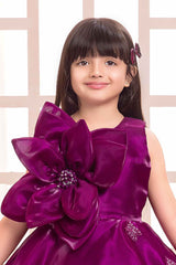 Elegant Wine Floral And Butterfly Embellished Frock For Girls