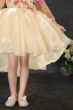 Fawn Floral Embroidered High-Low Party Frock For Girls