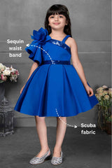 Blue Embellished With Floral And Sequin For Girls