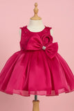Rani Pink Party Frock with Statement Bow and 3D Floral Appliqué For Girls