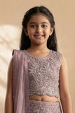 Elegant Pink Embellished Lehenga Choli Set for Girls