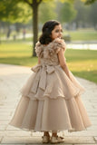 Fawn Ruffle Layered Party Gown For Girls