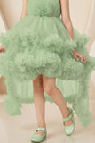 Green Net Tailback Floral Embellishment Frock With Hairband For Girls