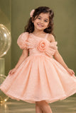 Peach One-Shoulder Party Frock with 3D Floral Bow For Girls