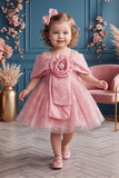 Girls Pink 3D Floral And Sequin Embellished Party Wear Frock