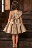 Girls Champagne Gold Sequin Floral Applique Party Wear Frock