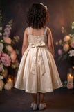 Girls Fawn High Low Party Wear Frock with 3D Floral Applique