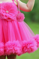 Rani Pink Ruffled Frock With Floral Embellished For Girls