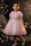 Girls Pink Sequinned Net Party Wear Frock with Floral Embellishments