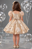 Girls Gold And White Floral  Bow Detail Party Wear Frock