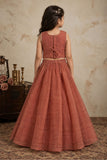 Girls Rust Orange Sleeveless Embroidered Lehenga Choli Set