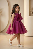 Wine Organza Frock With Floral Embellished For Girls