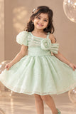 Pista Green One-Shoulder Party Frock with 3D Floral Bow For Girls