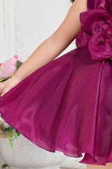 Wine Organza Frock With Floral Embellished For Girls