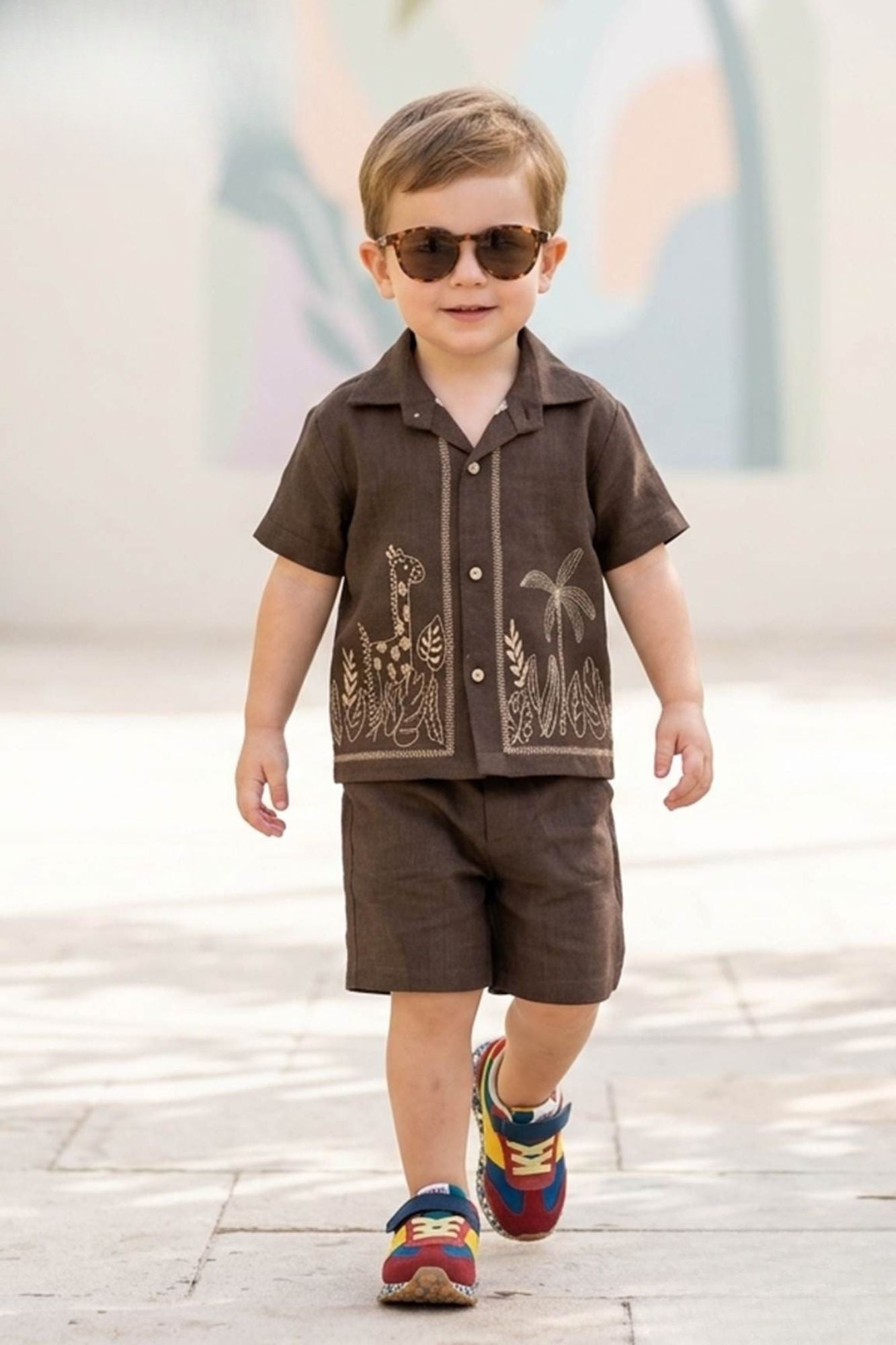 Boys Brown Embroidered Shirt And Shorts Set