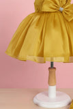 Golden Yellow Party Frock with Statement Bow and 3D Floral Appliqué For Girls