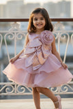Dusty Pink Embellished Glitter Bow Party Dress for Girls