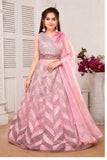 Blush Pink Chevron Lehenga Choli Set