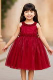 Rani Pink Embellished Satin Party Wear Frock with Floral Appliqué Detailing For Girls