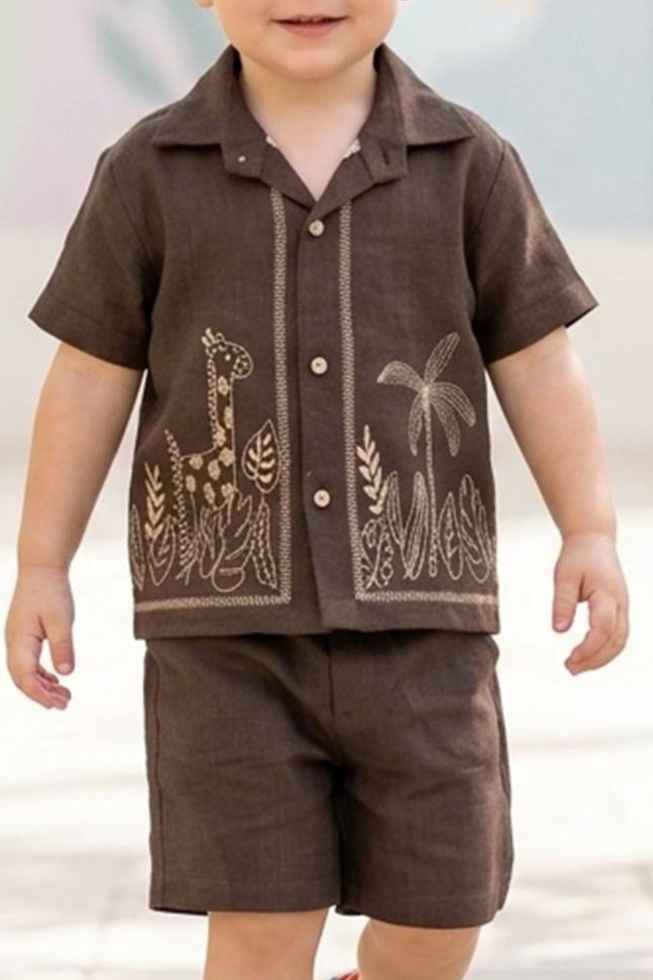 Boys Brown Embroidered Shirt And Shorts Set
