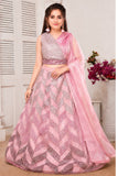 Blush Pink Chevron Lehenga Choli Set
