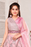 Blush Pink Chevron Lehenga Choli Set