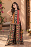 Multicolour Traditional Printed Palazzo Set for Girls
