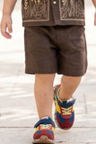 Boys Brown Embroidered Shirt And Shorts Set