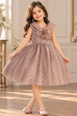 Girls Fawn Party Wear Frock with 3D Floral Bow And Sequin Detailing