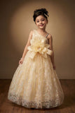 Fawn Floral Applique One-Shoulder Party Wear Gown with Big Bow For Girls